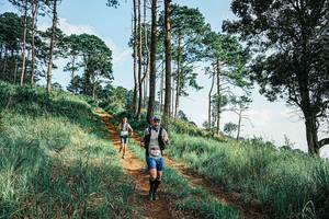 BIB: 
                            <button type="button" onclick="openModal(25671790)" class="btn btn-primary btn-sm float-right btn-popup" data-toggle="modal" data-target=".modal-high-quality">
                        <i class="fas fa-shopping-cart"></i> Add to Cart
                    </button>
                                            <button type="button" onclick="isThisMe(25671790, true)" class="btn btn-success btn-sm float-right btn-popup btn-isme hidden" data-toggle="tooltip" data-placement="bottom" title="นี่คือรูปของคุณใช่ไหม คลิกที่นี่เพื่อเอาเข้าอัลบั้ม">
                        <i class="fas fa-plus"></i> Add to album
                    </button>
                    <button type="button" onclick="isThisMe(25671790, false)" class="btn btn-warning btn-sm float-right btn-popup btn-isnotme hidden">
                        <i class="fas fa-ban"></i> Remove from album
                    </button>